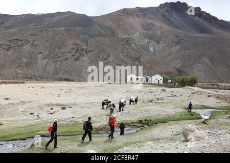 Tourist zu Fuß zu Govt Touristenort, Jammu und Kaschmir, Indien Stockfoto