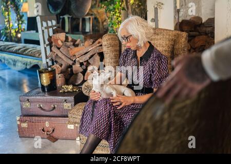 Nachdenkliche grauhaarige Schauspielerin in elegantem Kleid mit gehorsam klein Jack Russell Terrier Hund neben Softbox stehend und schauend Bei der Kamera während der Pause in der Arbeit gegen verschwommenes Innere von Gemütliches, modernes Studio Stockfoto