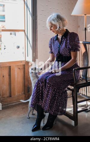 Nachdenkliche grauhaarige Dame in elegantem Kleid mit gehorsam klein Jack Russell Terrier Hund sitzt in Vintage-Holzsessel und Blick auf die Kamera gegen Licht rustikalen Innenraum Stockfoto