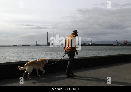 Ein Mann geht an einem sonnigen Herbstmorgen in Dublin mit einem Hund entlang der Strandpromenade von Clontarf. Stockfoto