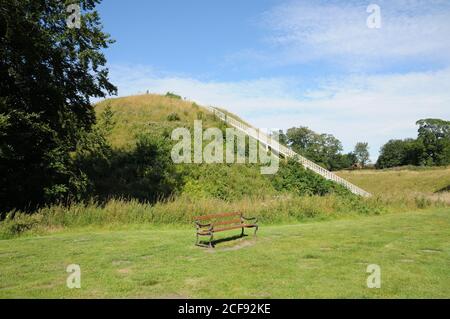 Castle Hill, Thetford, Norfolk. Thetford's Castle Mound ist das höchste mittelalterliche Erdwerk in Großbritannien. Stockfoto