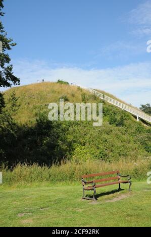 Castle Hill, Thetford, Norfolk. Thetford's Castle Mound ist das höchste mittelalterliche Erdwerk in Großbritannien. Stockfoto