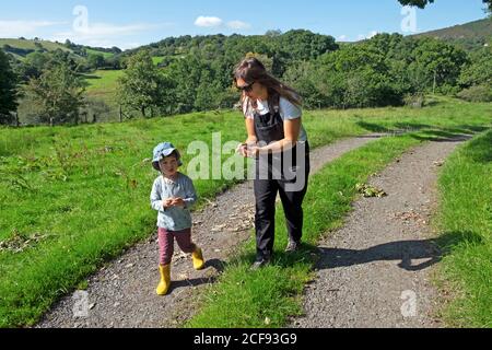 Frau zeigt Kind Junge 3 eine Eichel in der gefunden Countryside in Carmarthenshire Wales Großbritannien KATHY DEWITT Stockfoto