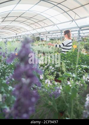 Weibliche Kundin mit Wagen auf Blumenmarkt Stockfoto