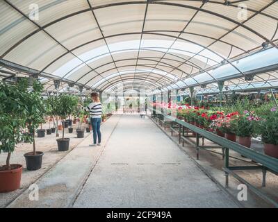 Weibchen mit buntem Blumenstrauß Stockfoto