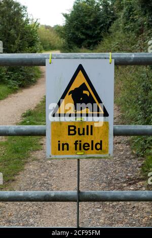 Bulle im Feld Warnschild an einem Tor. Dorset, England Stockfoto