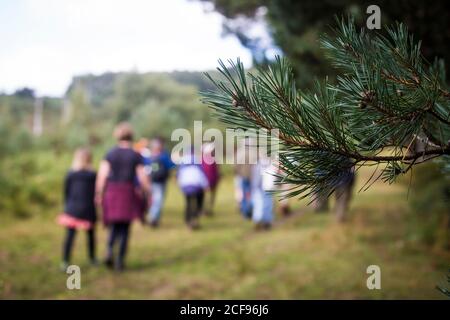 Geführter Wanderworkshop im Ashdown Forest bei We Are Kein Festival sozial distanziert im Pippingford Park - Camping mit Festivalstimmung Stockfoto