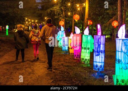 Woodland Illuminations at We are not a Festival sozial distanziert Event in Pippingford Park - Camping mit Festivalstimmung Stockfoto