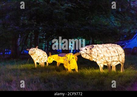 Woodland Illuminations at We are not a Festival sozial distanziert Event in Pippingford Park - Camping mit Festivalstimmung Stockfoto