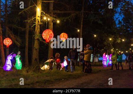 Woodland Illuminations at We are not a Festival sozial distanziert Event in Pippingford Park - Camping mit Festivalstimmung Stockfoto