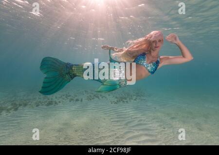 Schöne unbeschwerte junge Meerjungfrau mit blauem Fischschwanz schwimmen unter Wasser Tiefes helles Meer Stockfoto