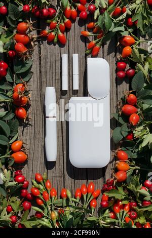 Weiße Batterie mit einzelnen Stäbchen liegt auf abstrakter Holzstruktur mit grünen, gelben Farnblättern. Dies ist ein neues Gerät über neue Art von te Stockfoto