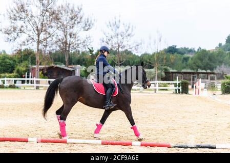 Teen Mädchen Jockey im Helm Reiten braun Pferd unter Baum Zweige auf Dressurviereck während der Ausbildung in der Reitschule Stockfoto