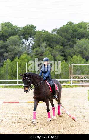 Teen Mädchen Jockey im Helm Reiten braun Pferd unter Baum Zweige auf Dressurviereck während der Ausbildung in der Reitschule Stockfoto