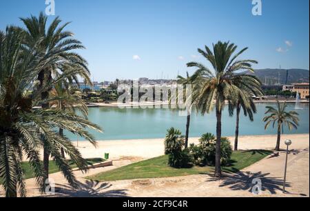 MALLORCA, SPANIEN - 17. Juli 2020: Palma, Mallorca, Spanien - 17. JULI 2020. Das schöne grüne Meer an der Kathedrale von Santa Maria von Palma La Seu Ort. Mit Stockfoto