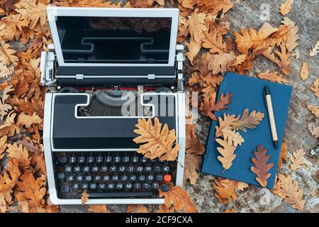 Von oben vintage alte Schreibmaschine mit einer Tablette statt Papier im Herbst mit Blättern überall auf einem Steintisch In einem Eichenwald Stockfoto