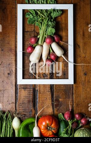 Frische Bio-Rettich und Rüben in einem weißen Rahmen auf Ein dunkler Holztisch Stockfoto