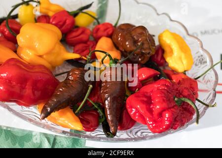 Verschiedene Arten von heißen gelben, roten, braunen Paprika in einer Schüssel zur Tischdekoration Stockfoto