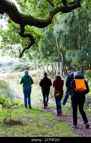 Geführter Wanderworkshop im Ashdown Forest bei We Are Kein Festival sozial distanziert im Pippingford Park - Camping mit Festivalstimmung Stockfoto