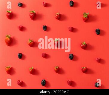 Von oben Blick auf frische Brombeere in Linie gelegt Mit reifen Erdbeeren im Sommer Beeren Komposition auf roter Oberfläche Hintergrund Stockfoto