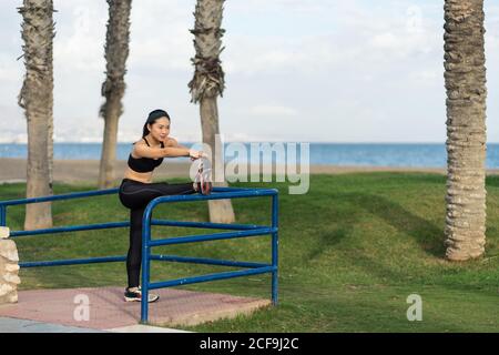 Seitenansicht der Fitness Asian weiblich in schwarz Sportswear tun Stretching-Übung mit Bein auf Metallzaun während des Trainings auf Strand mit Palmen Stämme und grünes Gras im Hintergrund Stockfoto