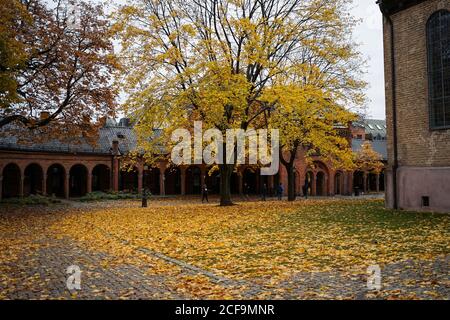 Malerischer Blick auf den goldenen Herbst und Ahornbaum im Innenhof Der Kathedrale von Oslo in Norwegen Stockfoto