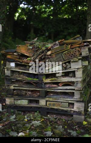 Großes Insektenhotel im Wald - einige Jahre alt, da die Holzpaletten zu verrotten begonnen haben. Stockfoto