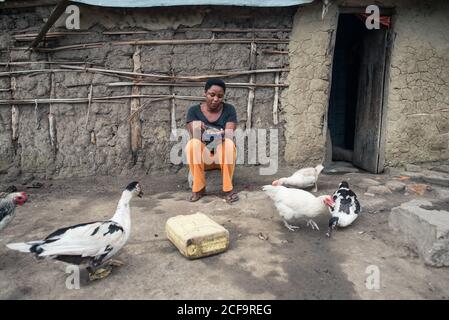 Uganda - November, 26 2016: Afrikanische Hündin sitzt vor dem Schuppen und füttert Gänse und Huhn auf einem kleinen Bauernhof im Dorf Stockfoto