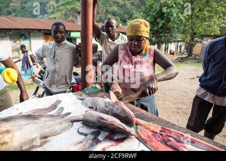 Uganda - 26. November 2016: Ruhige, nachdenkliche afrikanische Menschen in lässiger, farbenfroher Kleidung, die Produkte prüfen, während sie an der rustikalen Holztheke stehen und tagsüber frischen Fisch auf dem lokalen Markt kaufen Stockfoto