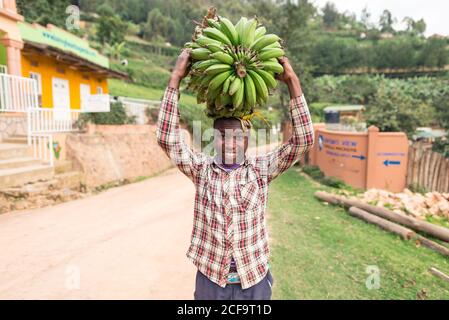 Uganda - 26. November 2016: Großer Winkel von fröhlichen starken afrikanischen Mann in kariertem Hemd lächelt an der Kamera, während auf dem Kopf Bündel von frischen Bananen halten, während auf unbefestigten Straße gegen bunte Gebäude außen und verschwommen grünen Bäumen stehen Stockfoto