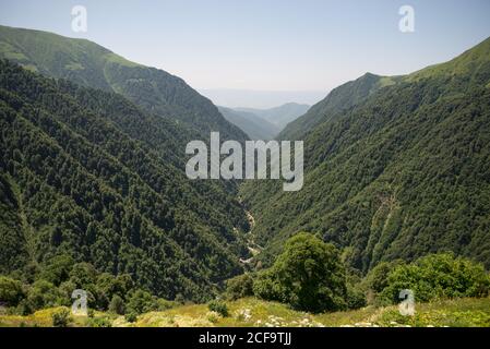 Von oben herrlicher Blick auf grünen grasbewachsenen Hügel gegen neblig Tal und bewaldete Berge in Georgien Stockfoto