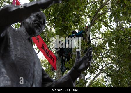 London, Großbritannien. September 2020. Ein Protestant campt in den Bäumen über dem Parliament Square während des 5. Tages des Aussterbens Rebellion 10 Tage Protest. Proteste finden international statt. Die Proteste in England konzentrieren sich darauf, die Abgeordneten dazu zu bringen, das Gesetz für Klima- und ökologische Notfälle und gegen HS2 zu sichern. Kredit: Liam Asman/Alamy Live Nachrichten Stockfoto