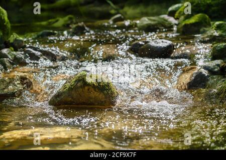 Moosiger Stein in einem rauschenden Gebirgsbach. Ein Stein in einem Bachbett, an einem sonnigen Herbsttag, bewachsen mit Moos, umgeben von sprudelndem Wasser. Stockfoto