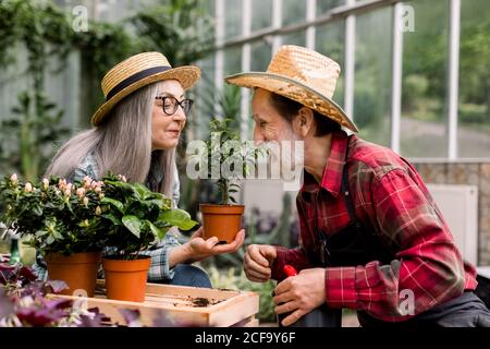 Gartenkonzept. Romantisches Bild von schönen älteren Paar in Strohhüten, in schönen Gewächshaus. Ziemlich grauhaarige Dame in den Händen halten Stockfoto