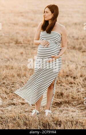 Ganzkörper schwangere Dame im gestreiften Kleid berühren Bauch und Wegschauen, während man auf trockenem Gras auf der Wiese steht Auf dem Land Stockfoto