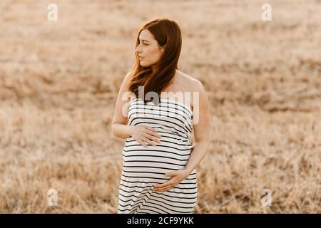 Ganzkörper schwangere Dame im gestreiften Kleid berühren Bauch und Wegschauen, während man auf trockenem Gras auf der Wiese steht Auf dem Land Stockfoto