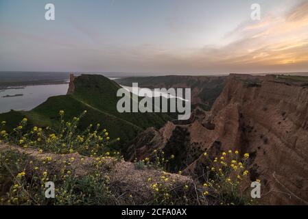 Kleine gelbe Blumen wachsen gegen grünen grasbewachsenen Hügel in friedlich Natur in der Nähe von alten Turmruinen auf einer Sonnenuntergangslandschaft mit see im Hintergrund Stockfoto