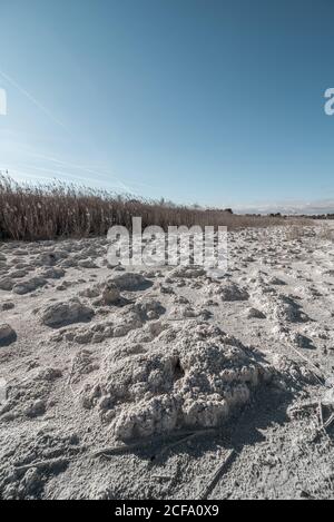 Trockenheit Wüstenlandschaft mit trockenem Boden und Pflanzen gegen Blau Himmel, der das Konzept der globalen Erwärmung repräsentiert Stockfoto