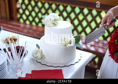 Die Braut bereitet sich darauf vor, einen großen schönen Kuchen zu schneiden, der auf dem Festtisch steht. Stockfoto