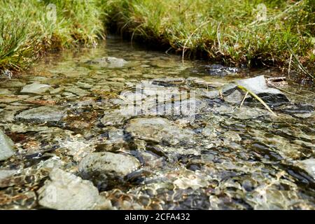 Grün grau Schiefer Felsen im Bett eines kleinen Bach fließt hinunter zum loughrigg Lake District Nationalpark cumbria england gb Stockfoto