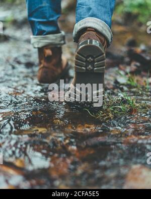 Rückansicht von Crop männlichen Reisenden in Jeans und braun Stiefel Wandern auf nasser Spur im Herbstwald Stockfoto