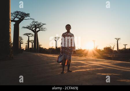 Madagaskar - 6. JULI 2019: Selbstbewusste ethnische Frau in exotischem mehrfarbigem Outfit, die am Hang von hohen Baobab-Bäumen in Sonnenstrahlen in der Dämmerung steht Stockfoto
