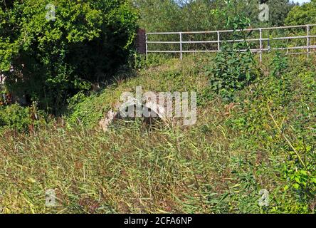 Die reduzierte Royston-Brücke, die die B1150 Straße über den ausgedient North Walsham und Dilham Kanal in North Walsham, Norfolk, England, Großbritannien, führt. Stockfoto