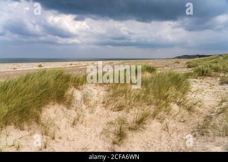 Der Kollerup Strand an der Jammerbucht, Fierritslev, Dänemark, Europa Stockfoto