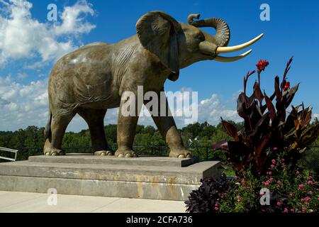 St. Thomas, Ontario, Kanada. Eine lebensgroße Statue von Jumbo, dem Elefanten. Stockfoto