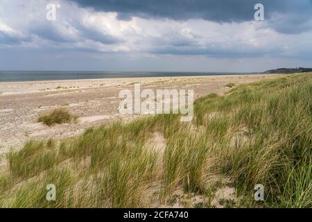 Der Kollerup Strand an der Jammerbucht, Fierritslev, Dänemark, Europa Stockfoto