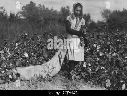 11 Jahre altes Mädchen nimmt 75 bis 125 Pfund Baumwolle pro Tag und 50 Pfund Tragetaschen, wenn der Sack voll ist. Stockfoto