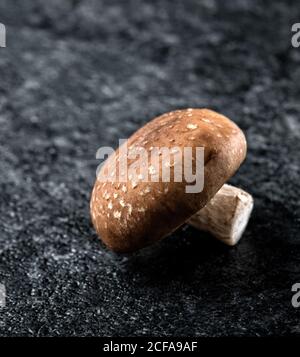 Kleine rohe ganze Champignon-Pilze auf schwarzem Marmortisch Stockfoto