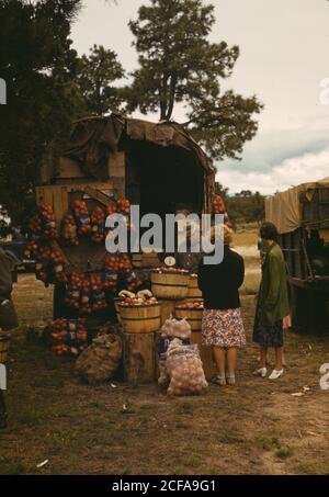 Obst-Wagen auf der Messe Pie Town, New Mexico Stockfoto