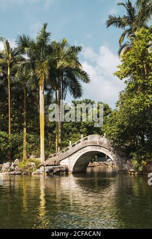 Schöne Landschaft von Teich und Steinbrücke oben mit Palmen und exotische Vegetation im Sonnenlicht, Qingxiu Berg, China Stockfoto